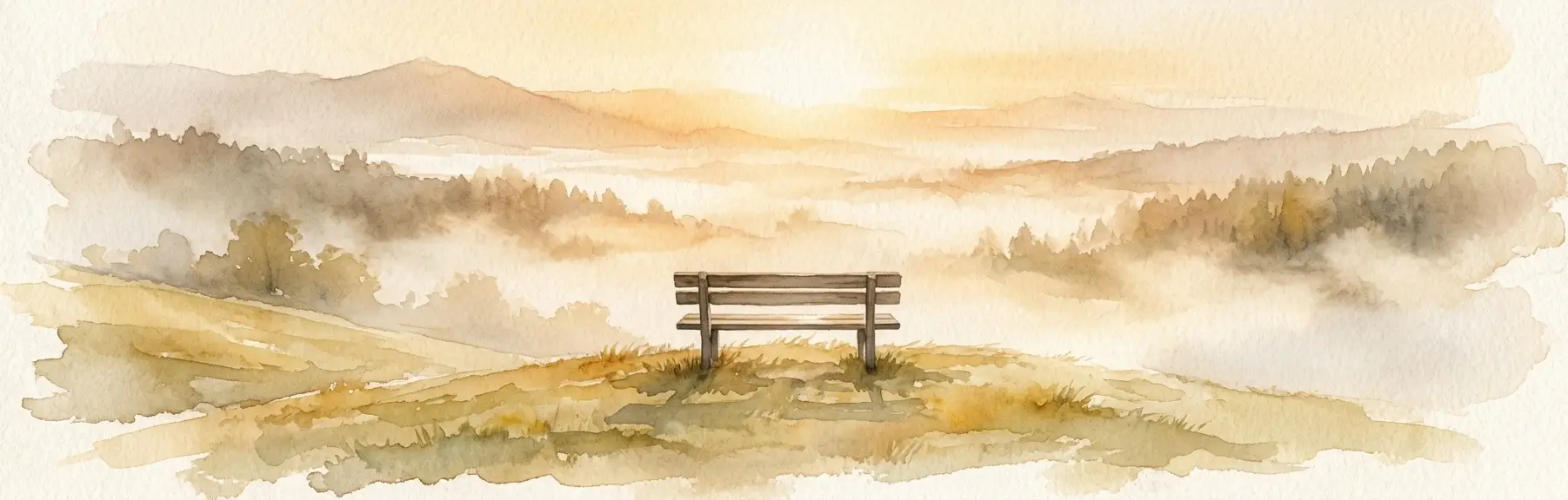 TREWSELF Solitary Bench Overlooking Misty Valley