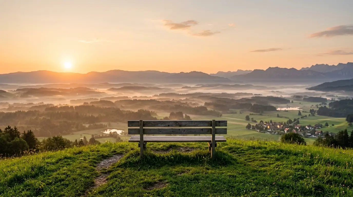 Solitary bench overlooking sunlit morning valley